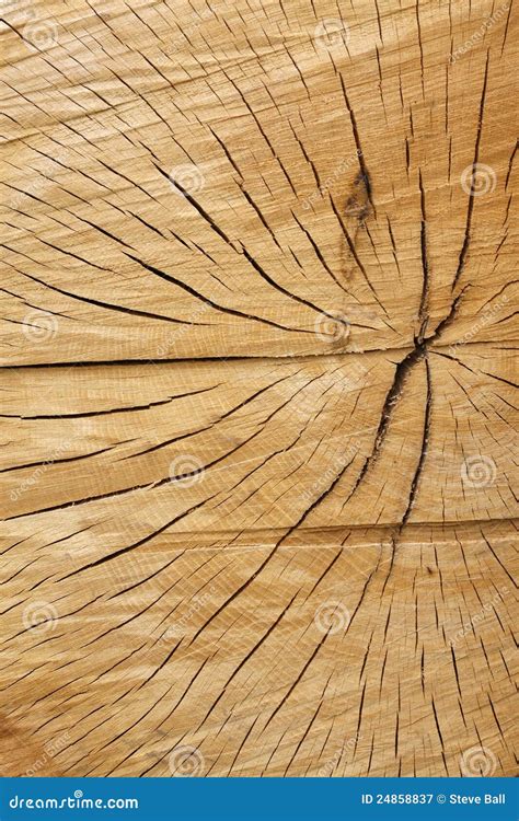 Cracked Wood Texture Royalty Free Stock Photography Image 24858837