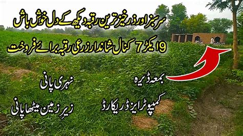 Acre Kanal Zari Raqba Agriculture Land For Sale In Punjab Pakistan