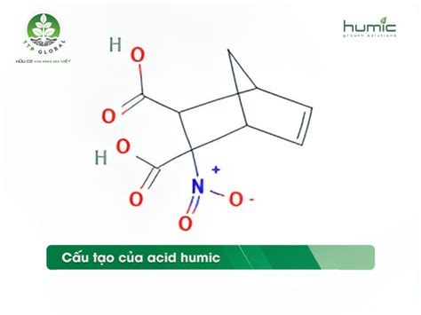 T C D Ng C A Acid Humic I V I T V C Y Tr Ng