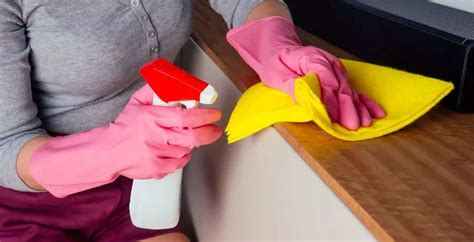 Home Hacks: How to make dust repellent spray? | EconomicTimes