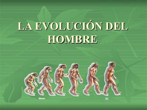 La Evolución Del Hombre