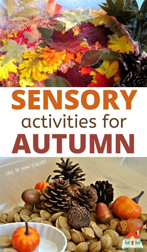 20 Preschool Autumn Sensory Bins - Stay At Home Educator