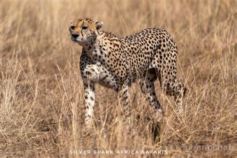 Day Samburu Aberdare Ol Pejeta Conservancy Nakuru National Park