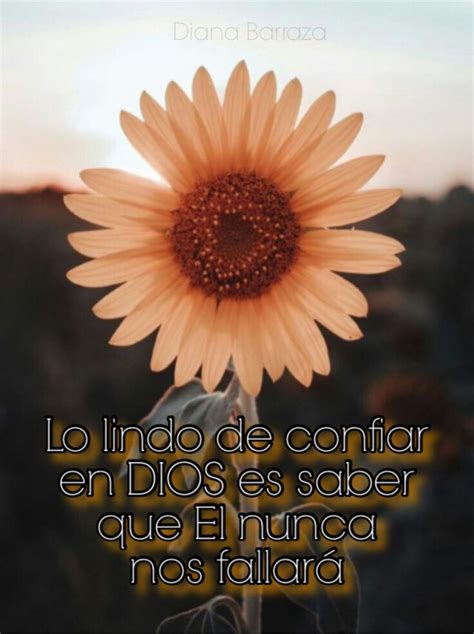 Pin By Mary Gallardo On DIOS LO ES TODO Amazing Flowers Sunflower