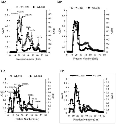 Elution Profile By Sephadex G25 Size Exclusion Chromatography Of