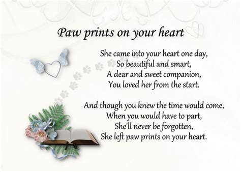 Pet Condolence Quotes Quotesgram