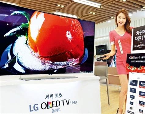 Lg Oled Tv 사면 최대 200만원 캐시백 네이트 뉴스