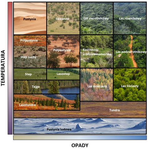 Strefy Przyrodnicze Na Ziemi Geografia24 Pl