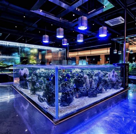 Aqua Garden Magical CafÉ In Korea Lets You Dine Underwater” In An