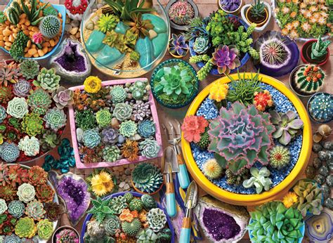 Cacti Pots Pieces Anatolian Puzzle Warehouse