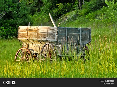 covered wagons image photo  trial bigstock