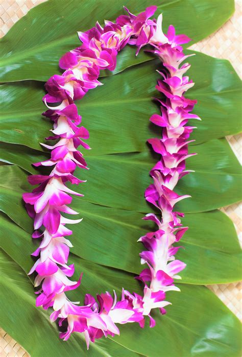 Purple Orchid Single Lei Pack3 Leis 799 Each Fresh Hawaiian Leis