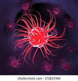 Bacteria Virus Cell 3d Stock Illustration 172819340 Shutterstock