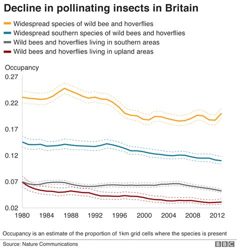 Bees Many British Pollinating Insects In Decline Study Shows BBC News