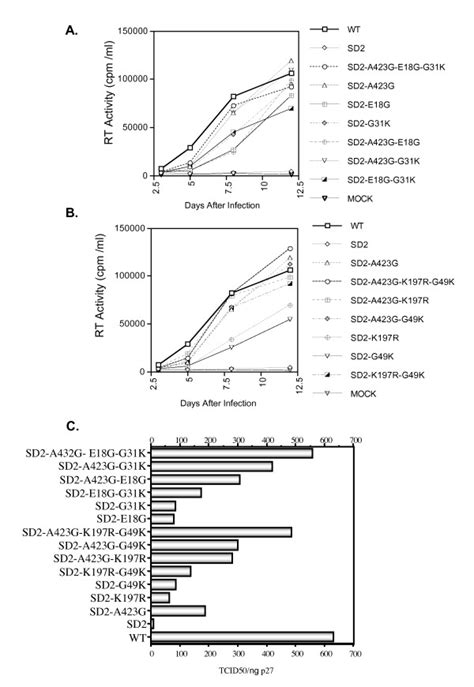 Replicative Fitness Of Wild Type And Mutated Viruses In Monkey PBMCs