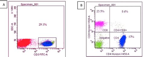 Schematic representation of relative enumeration of CD3+, CD4+ and ...