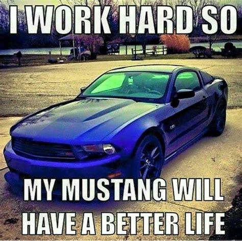 True Lol Mustang Humor Mustang Cars Fox Body Mustang