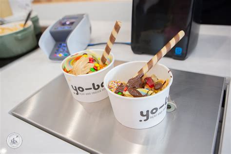 Yo Bar Acai Frozen Yoghurt Bar Bentleigh Mamma Knows South