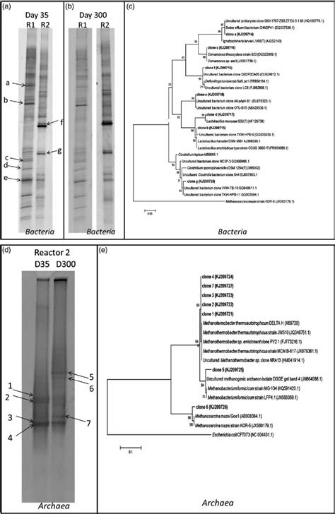 A B C Dgge Pro Fi Les Using Primers For Bacteria A And Download Scientific Diagram