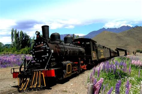 3 Trenes Turísticos Para Conocer La Patagonia Patagonia Andina