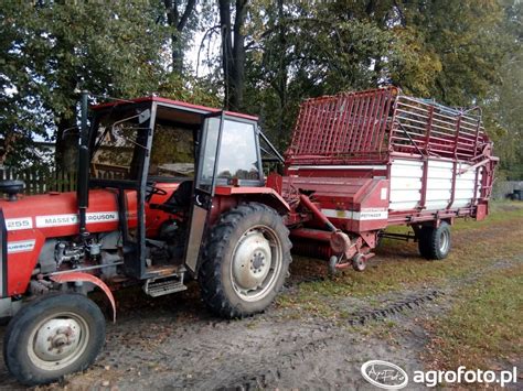 Obraz Ciagnik Massey Ferguson 255 Id 682188 Galeria Rolnicza Agrofoto