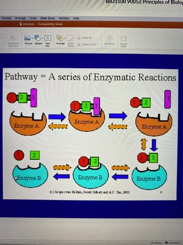 Enzymes Metabolism Energy Flashcards Quizlet