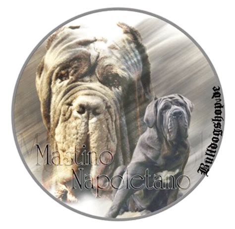 Design Aufkleber Mastino Napoletano 1Neapolitanischer Mastiff 15cm