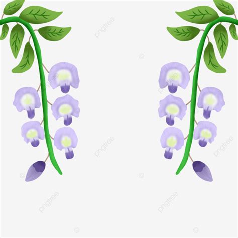 Flores De Glicina P Rpura Png Dibujos Florecer Glicina Flor Png Y