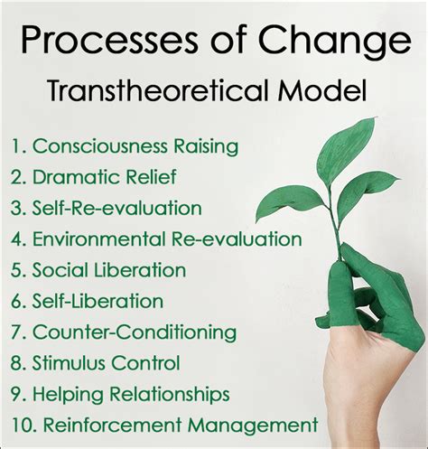 Transtheoretical Model Stages Of Change For Addiction