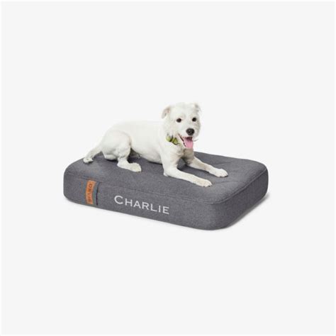 Orvis RecoveryZone® Lounger Dog Bed | Orvis