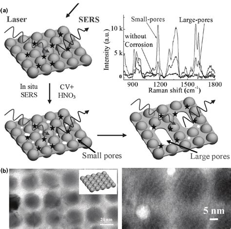 A Illustration Of A Nanopore In Nanogap Hybrid Structure For Sers