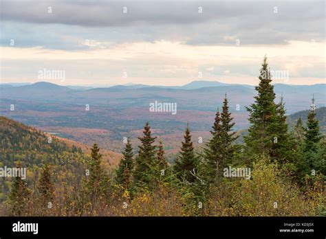 Mont Mégantic Parc National Banque De Photographies Et Dimages à Haute