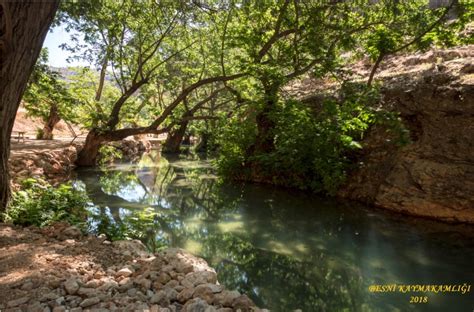 Besni Sug Z Mesire Alan Halk M Z N Hizmetine Sunuldu