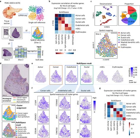 Figure From Spatially Resolved Single Cell Deconvolution Of Bulk Rna