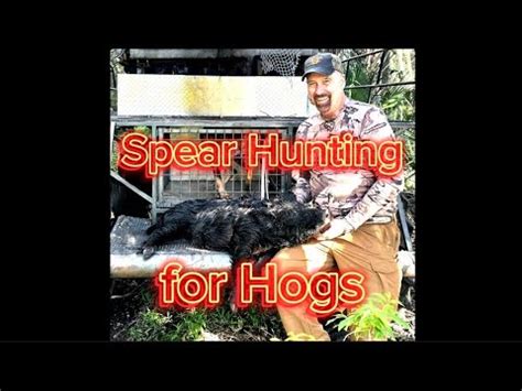 Spear Hunting For Hogs YouTube