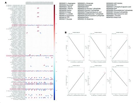 Correlation Between Differential Metabolites And Microorganisms A