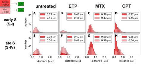 Histograms Of Distances From Bright Or Dim H Ax Foci To The