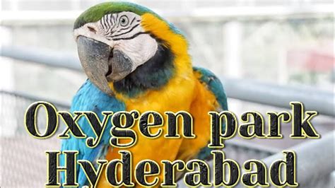 Oxygen Park In Hyderabad Kompally Kandlakoya Oxigen Park In Telangana