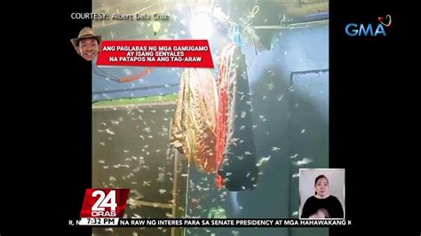 How To Get Rid Of Gamu Gamo Kuya Kim Shares Tips GMA News Online