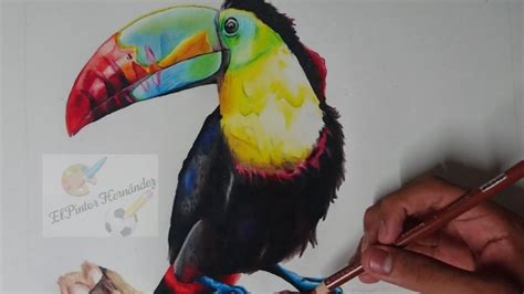 Como dibujar a un Tucan con lápices de colores speed drawing YouTube