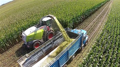 Corn Silage Chopping Youtube