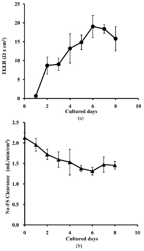 A The Induction Of Transendothelial Electrical Resistance Teer In