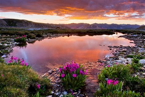 Wildflowers At Mountain Lake Fond Décran And Arrière Plan 1872x1248