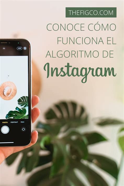 Quieres saber cómo funciona el nuevo algoritmo de Instagram No