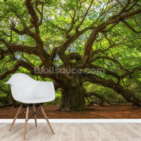 Angel Oak Tree Wallpaper Mural Wallsauce Us