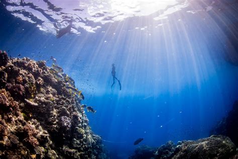 Freediving Uvita Costa Rica