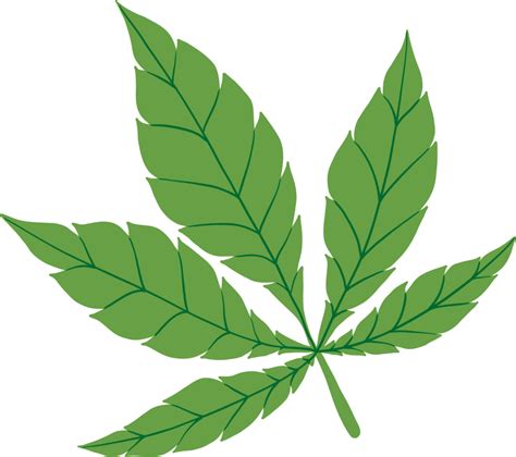 Simplicidad Hoja De Cannabis Dibujo A Mano Alzada Diseño Plano 10833308 Png