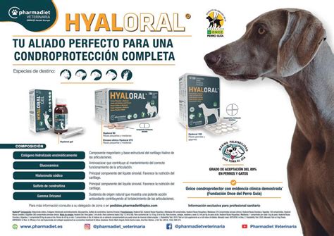 Guía completa sobre la dosis de metamizol para perros todo lo que