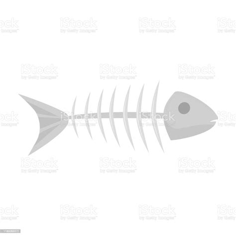 Fish Skeleton Stock Illustration Download Image Now Animal Body