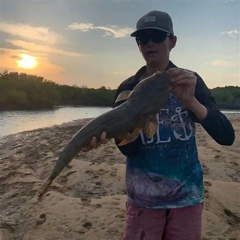 ᐅ Tallebudgera Creek fishing reports🎣• Queensland, Australia fishing